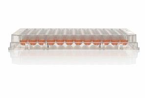 174925 | MW 96U Nunclon Sphera Packed 1 8